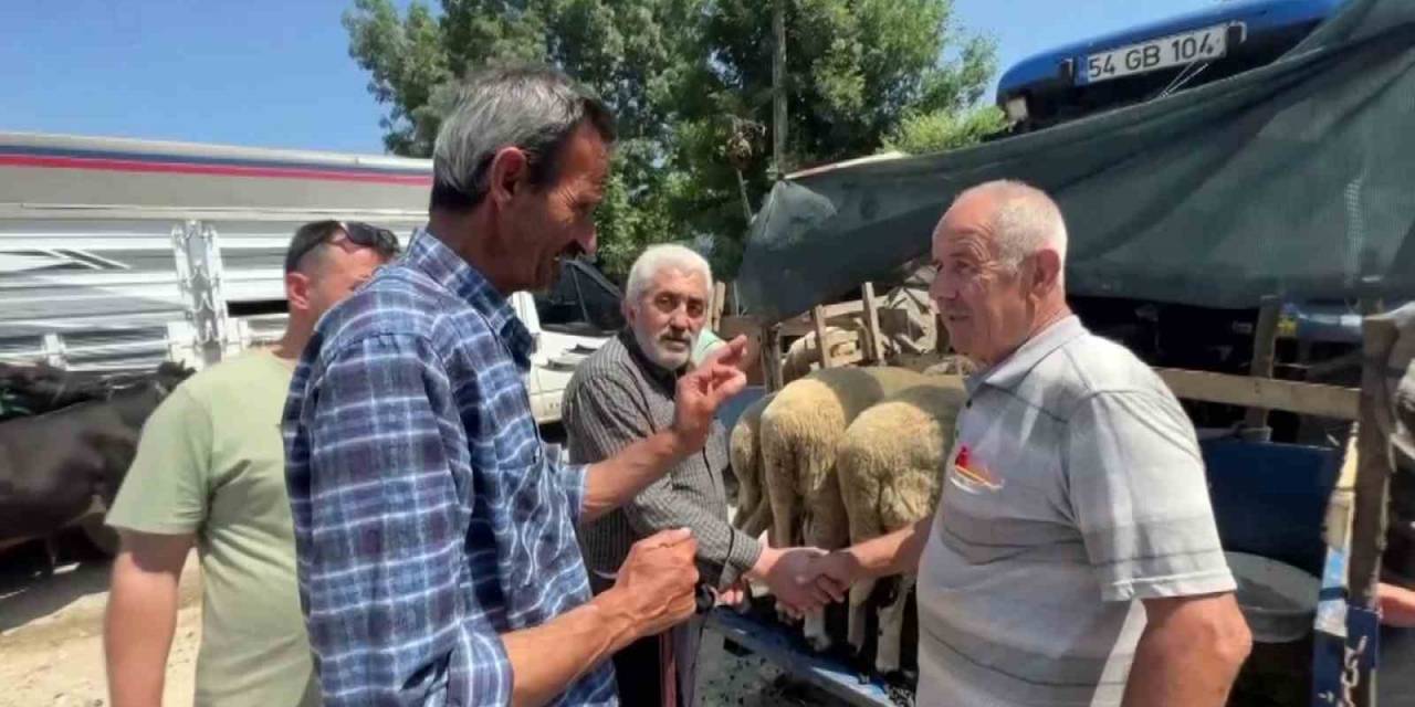 Bayrama Sayılı Günler Kala Kurban Pazarlarında Hareketlilik