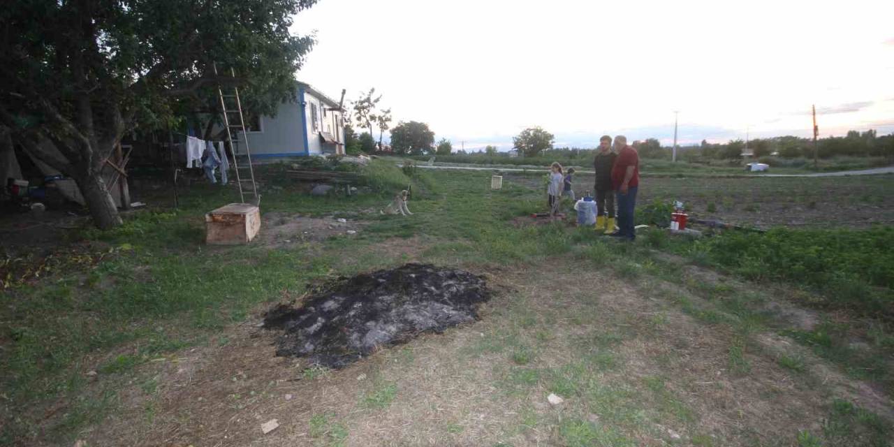 Çiftlikteki Köpeğe Saldıran Kurt Kamerada