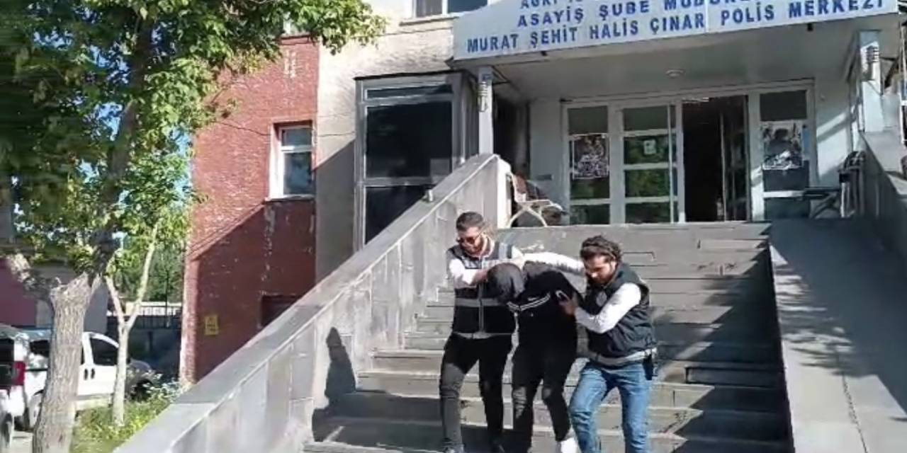 Ağrı’da Oto Faresi Yakalandı