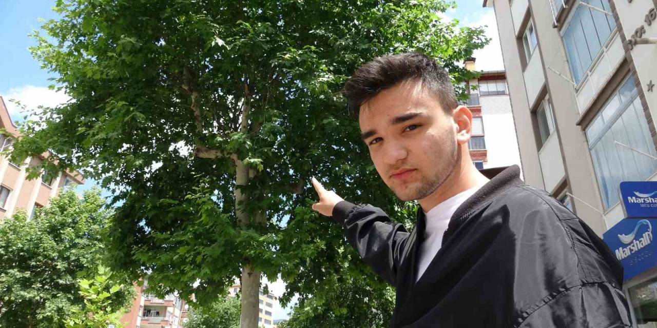 "karga Kamikaze" Dalışlarıyla Mahalleliye Korku Salıyor