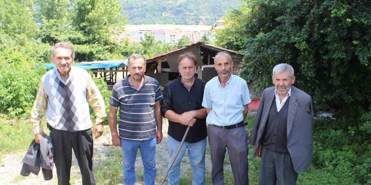 Kurtlar, 350’den Fazla Koyunu Telef Etti
