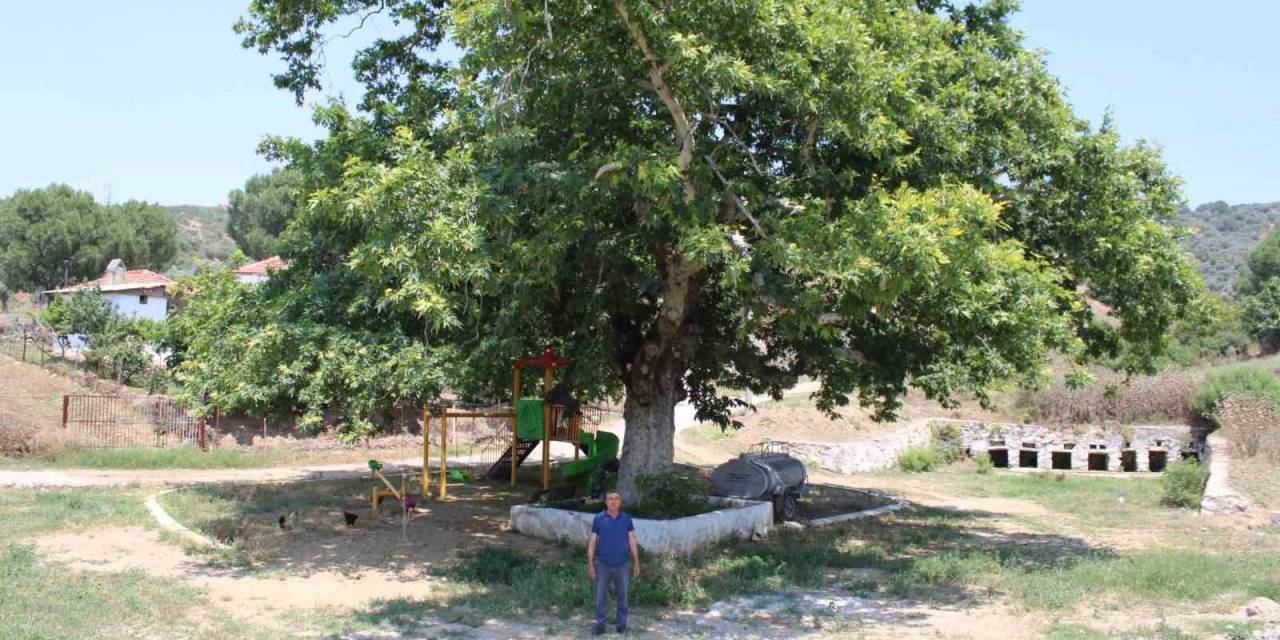 Şahnalı’nın Tarihi Sekizpınarlar’ı Eski Günlerine Kavuşmayı Bekliyor