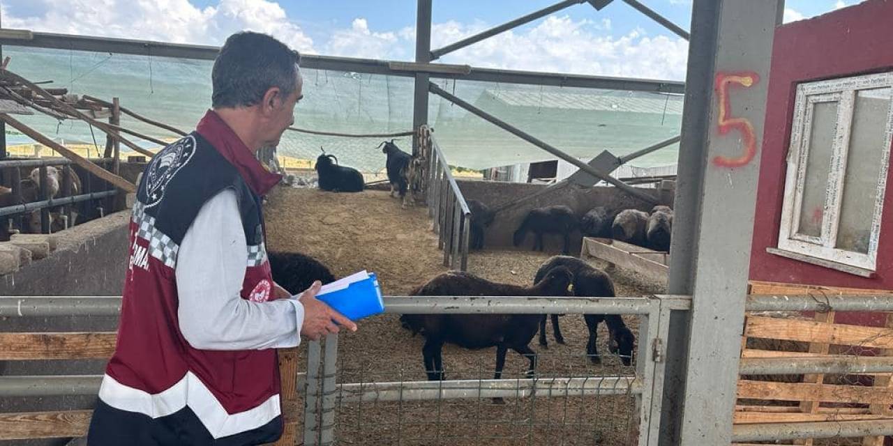 Bingöl’de Kurbanlıklar Ekipler Tarafından Kontrol Ediliyor