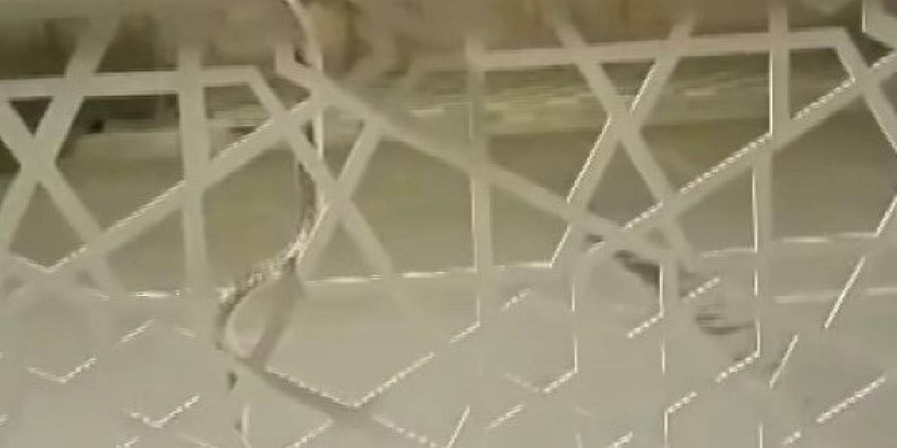 Şehir Merkezindeki Bariyere Çıkan Yılan Paniğe Neden Oldu