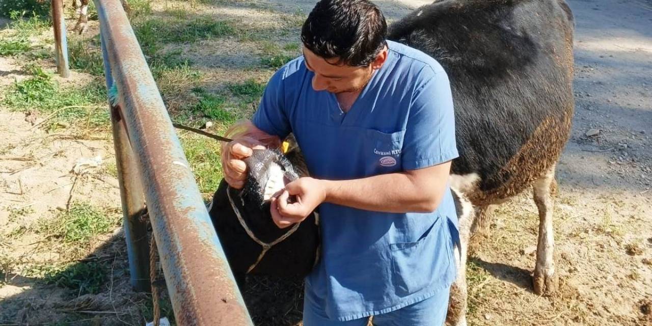 Hisarcık’ta Zabıta Ekiplerinden Kurban Satış Yerlerinde Denetim