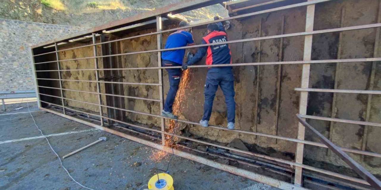 Hayvan Yüklü Tır Devrildi: 1 Ölü, 1 Yaralı