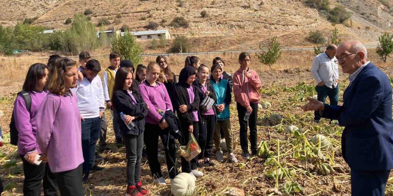 Öğrencilere Tarlada Ata Tohumun Ve Organik Tarımın Önemi Anlatıldı
