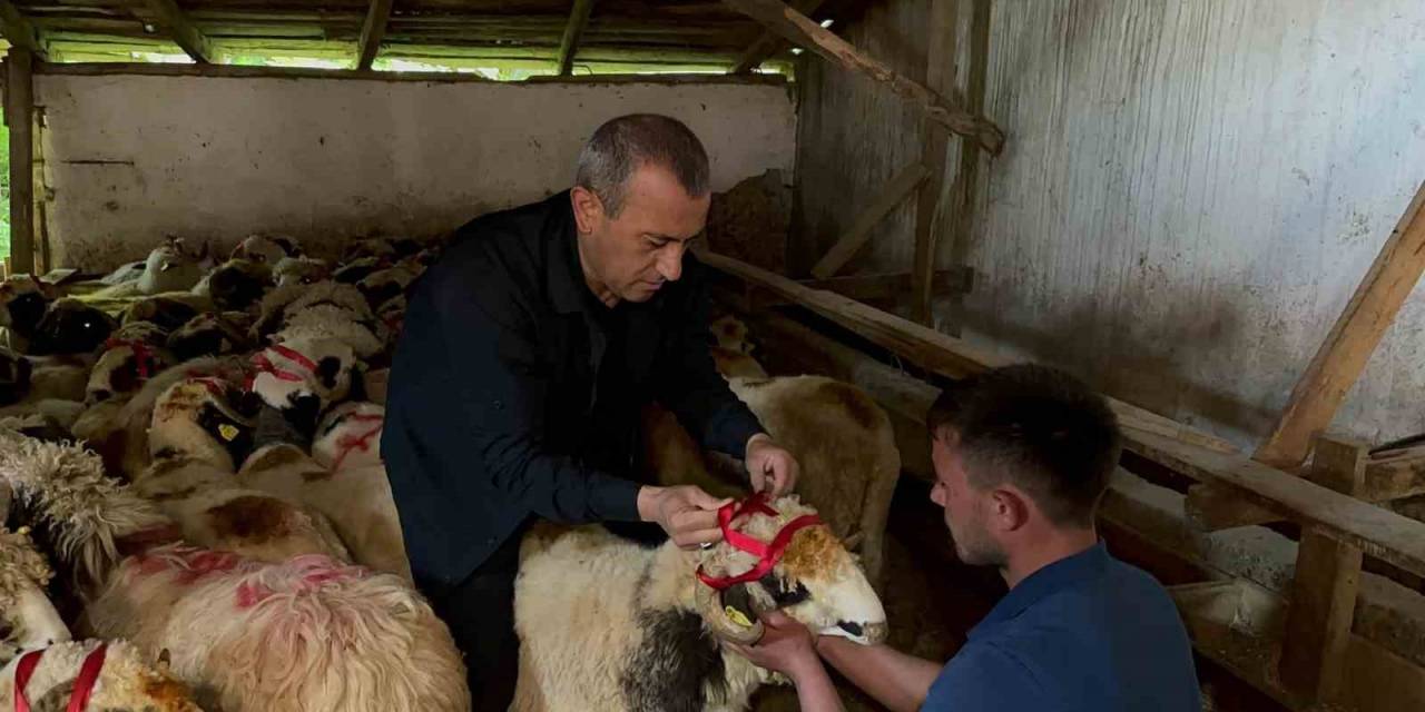 Vali Sonel, Kurban Bayramı’nda Yetim Ve Öksüzleri Unutmadı