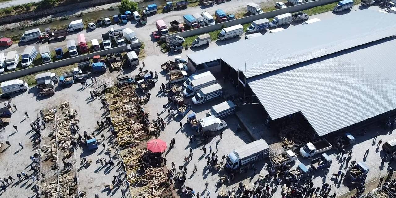 Şuhut Kurban Pazarında Hareketlilik Başladı