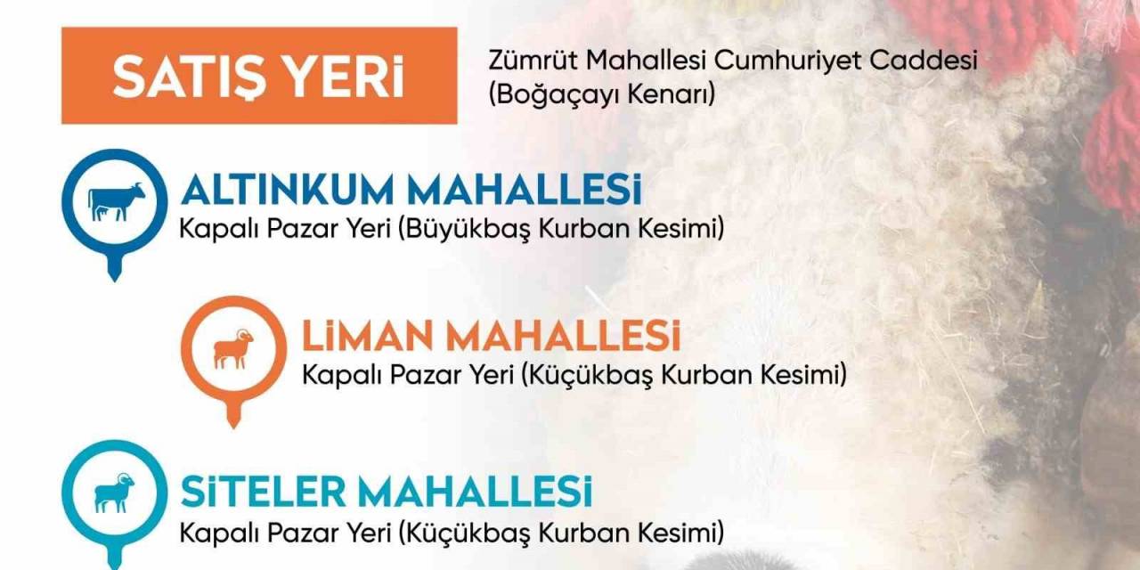 Konyaaltı’nda Randevulu Ücretsiz Kurban Kesimi