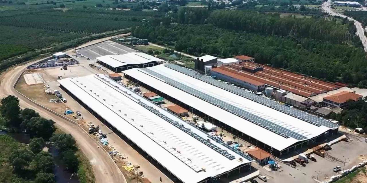 Osmangazi, Kurban Bayramı’na Hazır