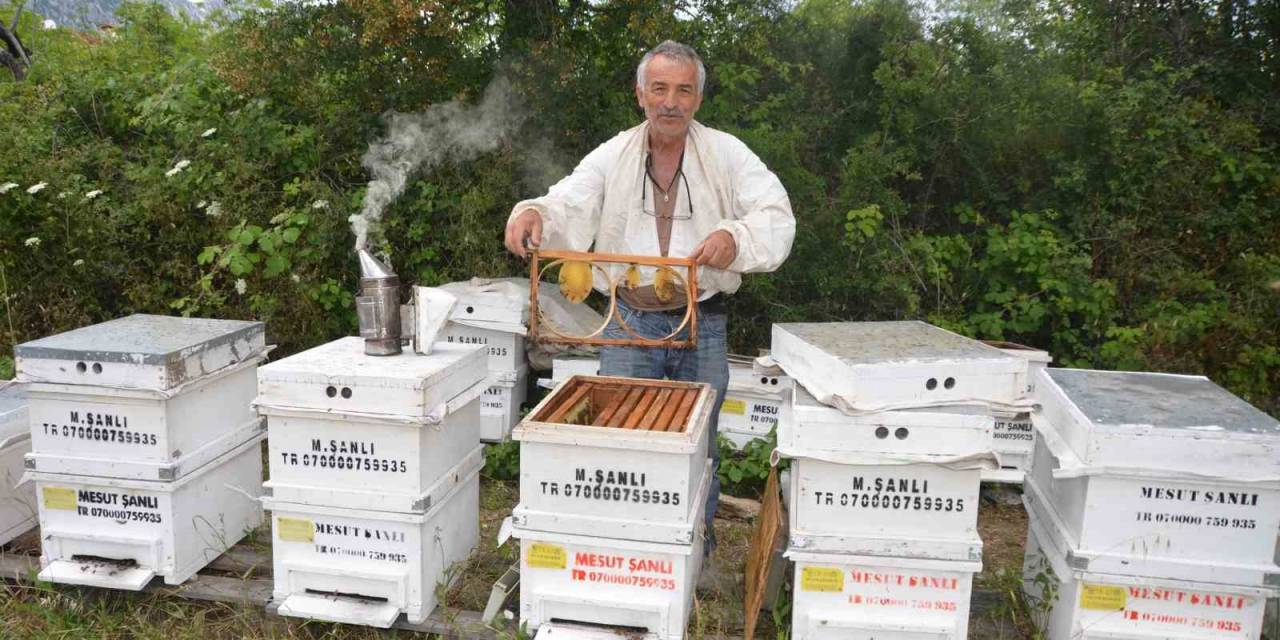 Antalya’da Arı Kovanlarının Yeni Adresi Bin 960 Metre Rakımlı Yaylalar