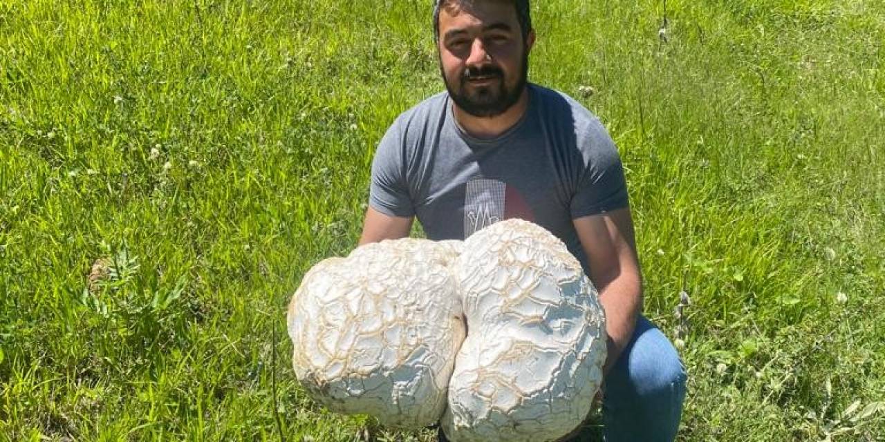 Bulduğunda Kaya Sandı, Ne Olduğunu Anlayınca Şok Oldu