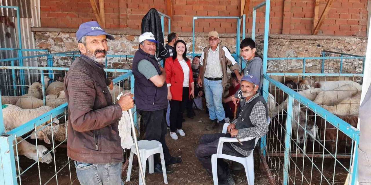 Pazaryeri’nde Kurban Satış Noktası Denetlendi