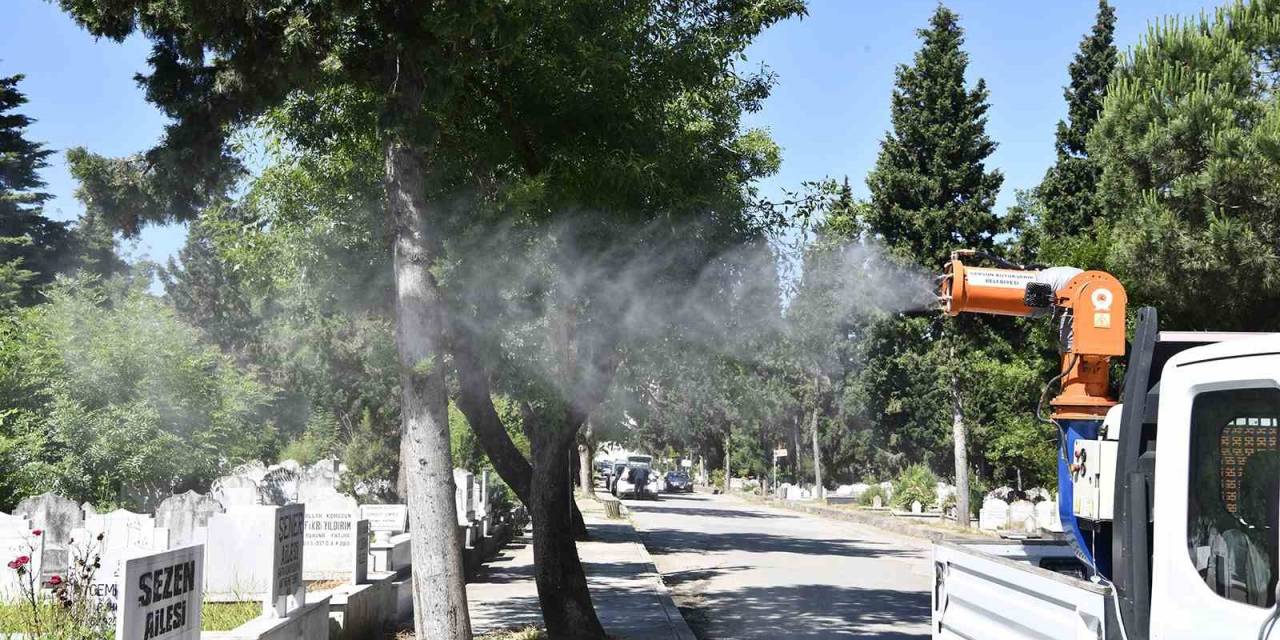 Mezarlıklara Bayram Bakımı