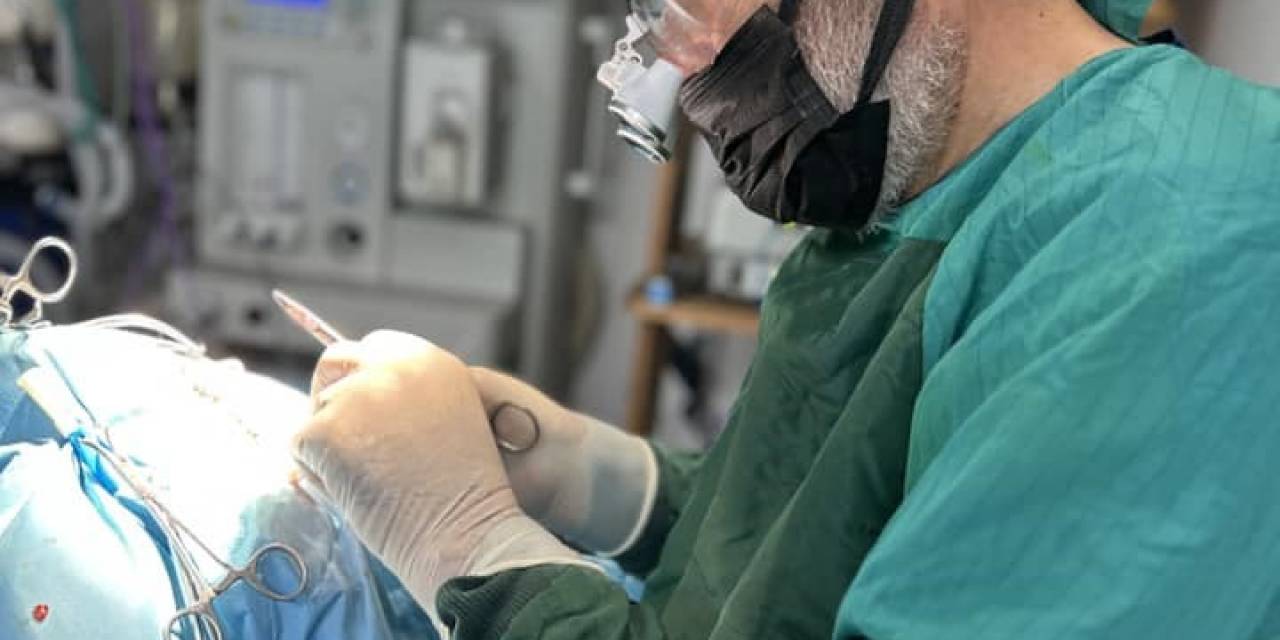 Hayati Tehlikesi Bulunan Sokak Hayvanlarına Ücretsiz Müdahale