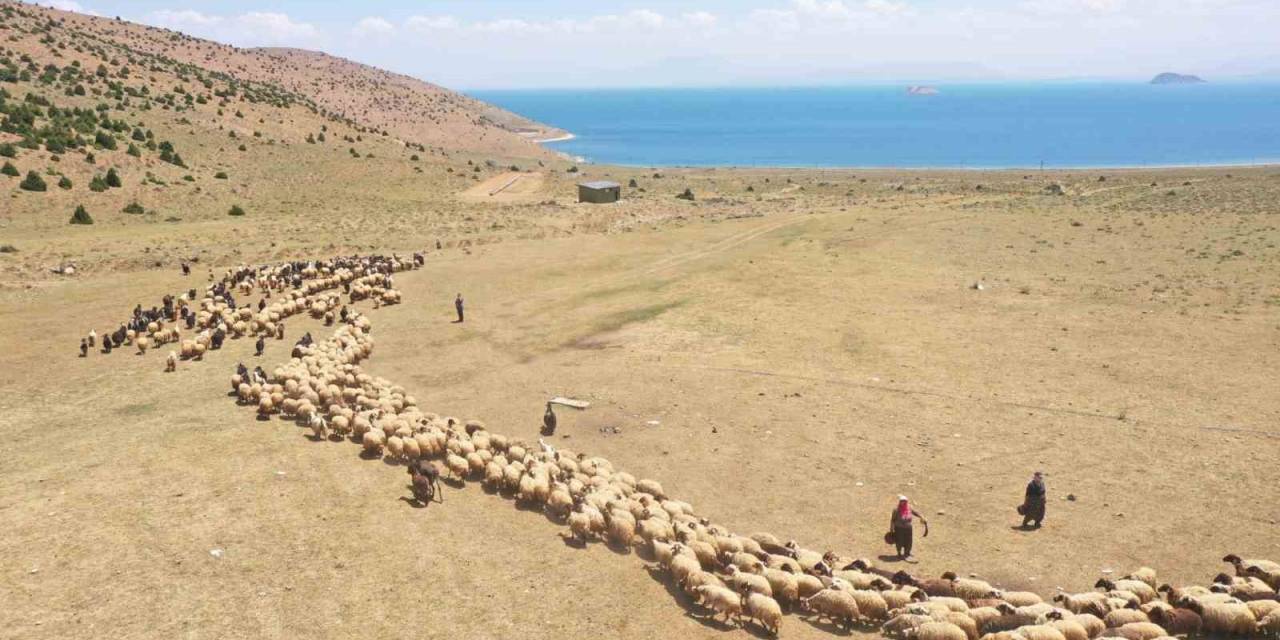 Van’da Yaylaya Güneş Enerjisiyle Su Ulaştırıldı