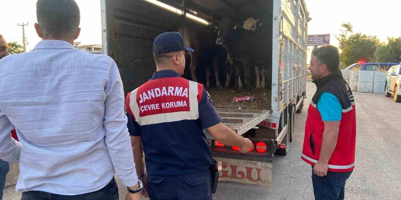Aksaray’da Sivil Jandarmalar Kurban Teyakkuzunda