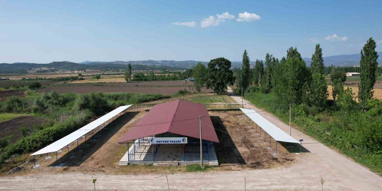 Sındırgı’da Kurban Pazarı Panayır Alanında