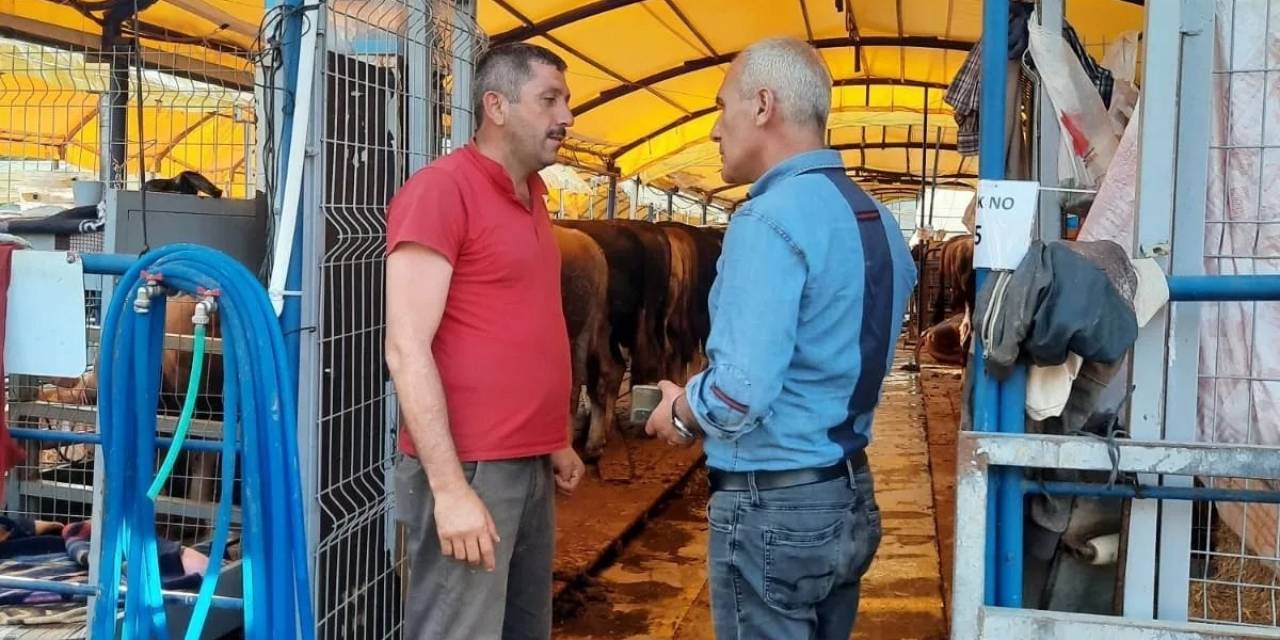 Başkan Altıkulaç: "istanbul’a Sevk Edilen Kurbanlıkların Yüzde 60’ı Satıldı"