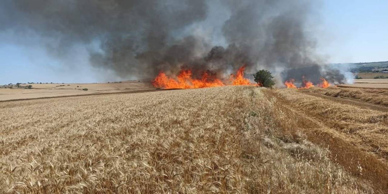 Keşan’da 30 Dönüm Buğday Ekili Arazi Kül Oldu