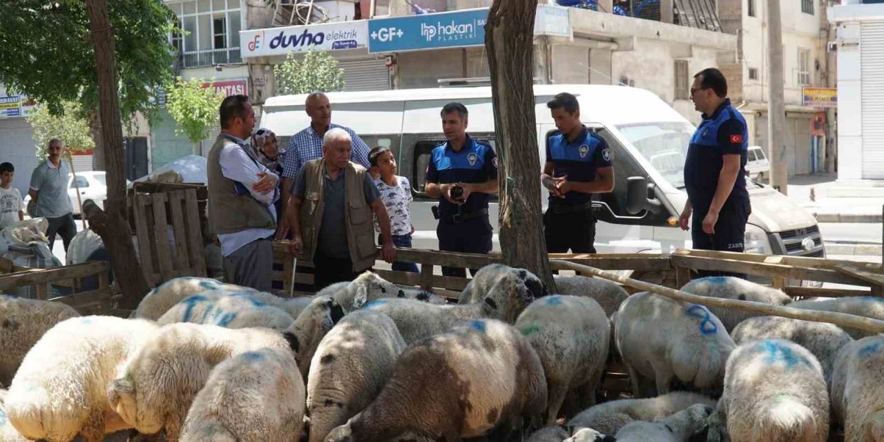 Haliliye Belediyesi Kurban Bayramında 635 Personeliyle Sahada