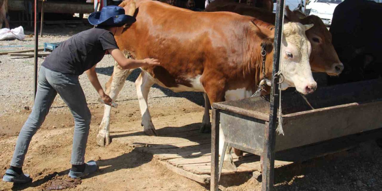 Bayram Yaklaştı Pazarlıklar Kızıştı