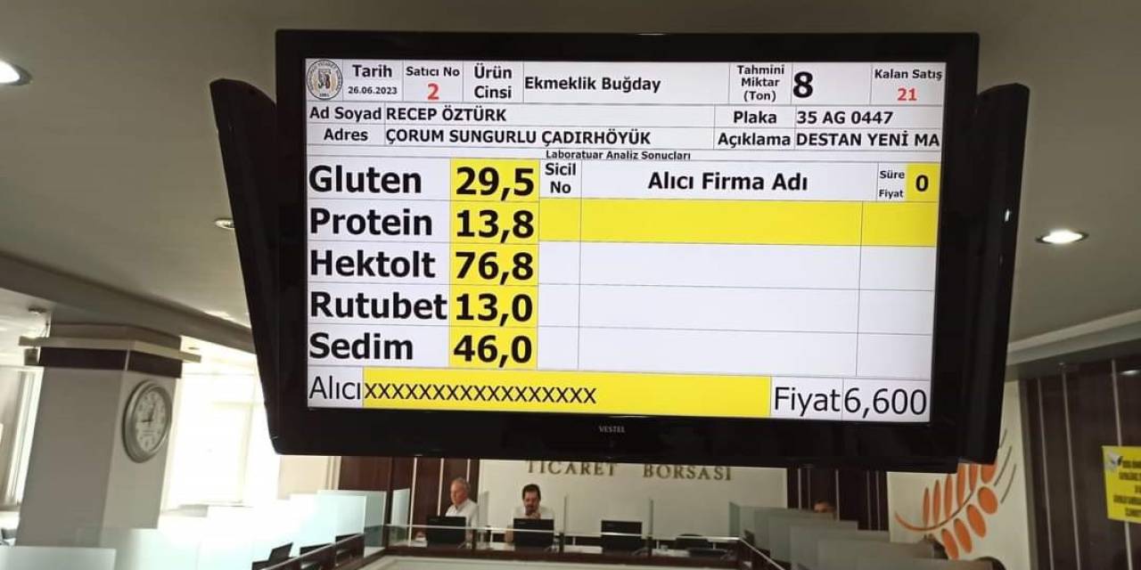 Sungurlu’da İlk Buğday Borsaya Geldi