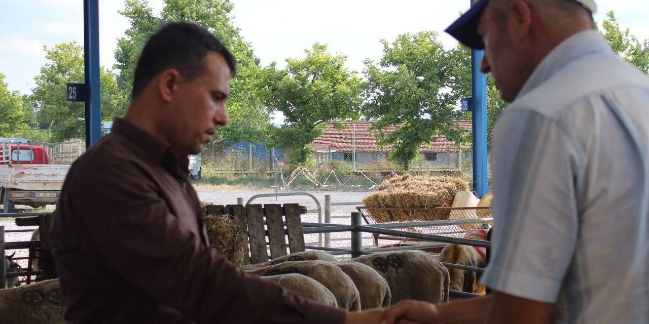 Bandırma Ve Gönen’de Kurban Pazarı Kuruldu
