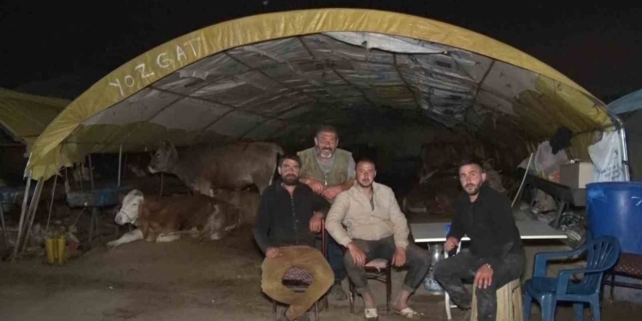 Ankara’da Kurban Pazarlarında Gece Zor Geçiyor