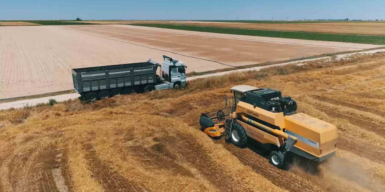 Aksaray’da Yağışlar Ürün Rekoltesini 2 Katına Çıkardı