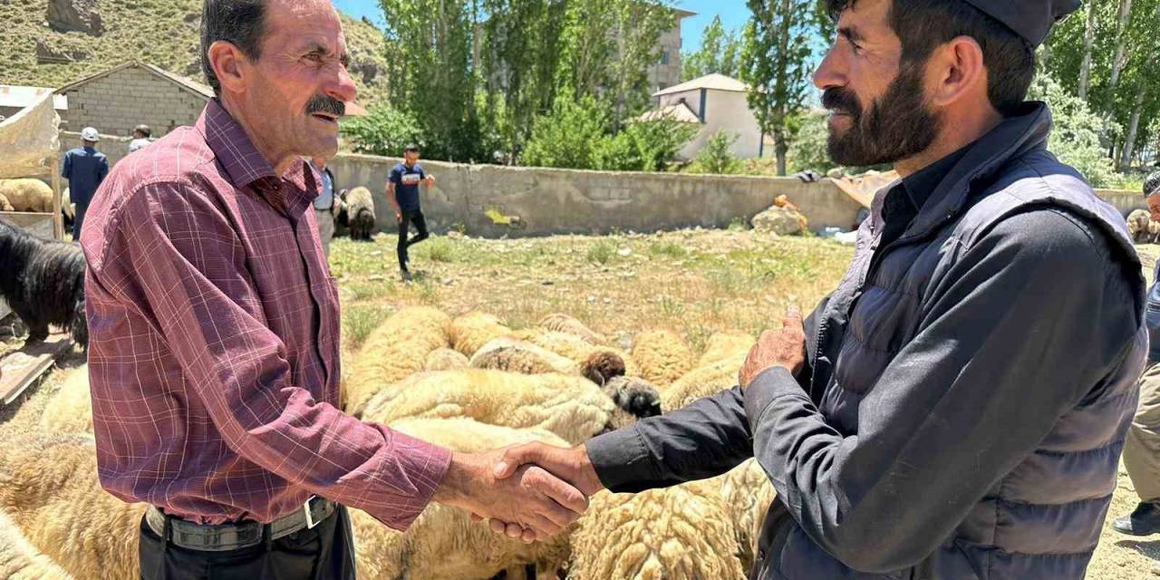 Yüksekova’da Kurbanlık Satışları Devam Ediyor