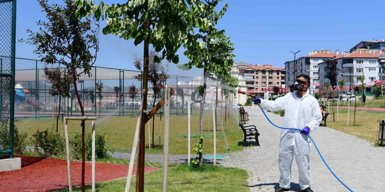 Mamak Belediyesi’nden Çevre Dostu Biyolojik Mücadele