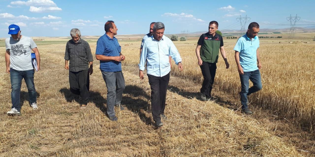 Kırşehir’de İlk Tarımsal Ürün Hasadı Yapıldı