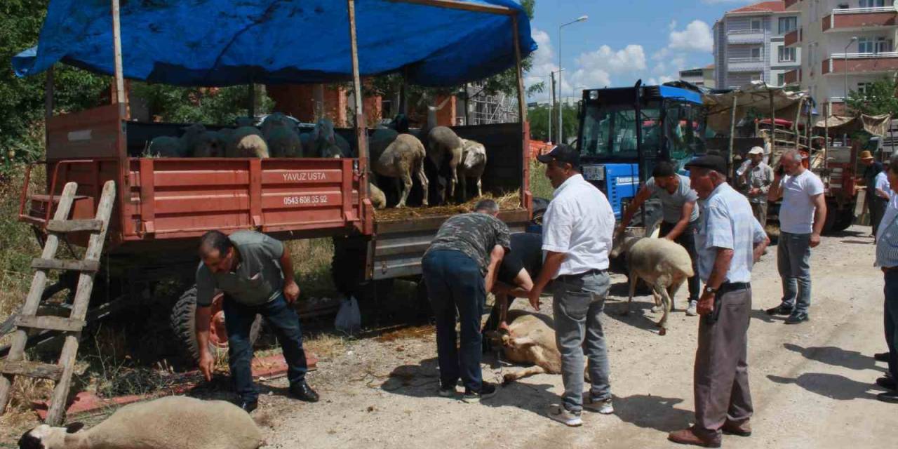 Kırklareli’nde Kurbanlar Alıcısını Bekliyor