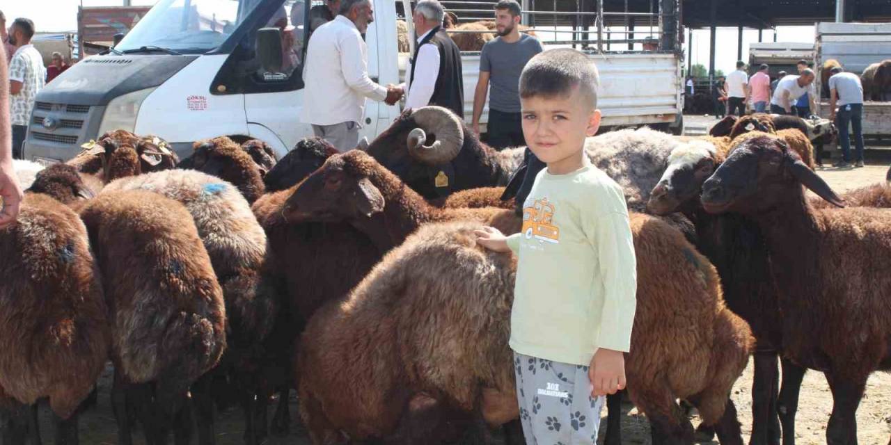 Iğdır’da Kurban Bayramı’na Saatler Kala Kurbanlık Satışı Devam Ediyor