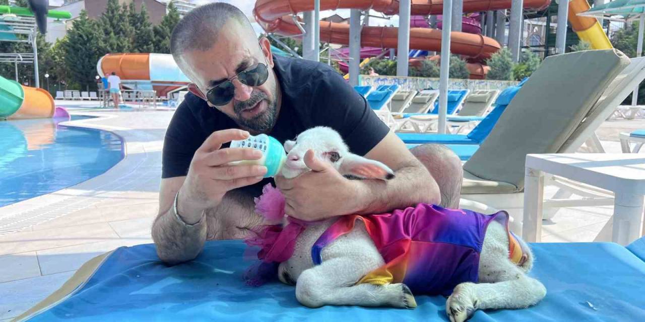 Kurban Bayramı Öncesi Kuzusuyla Tatil Yaptı