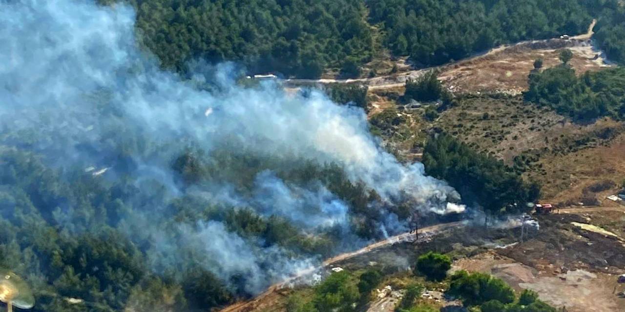İzmir’de Ormanlık Alandaki Yangın Kontrol Altında