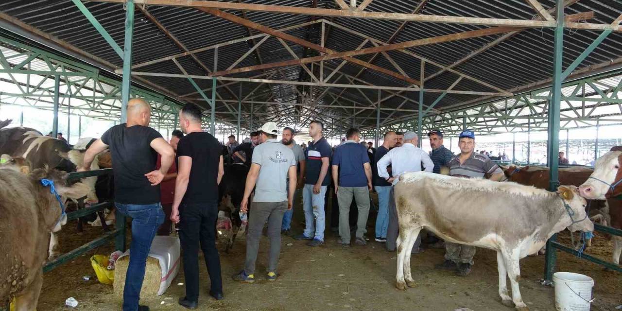 Isparta’da Kurban Bayramı’na Saatler Kala Kurbanlık Satışı Devam Etti