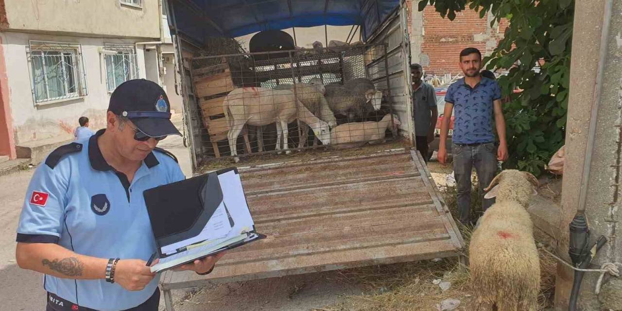 Mahalle Arasında Kurban Satışına İzin Yok