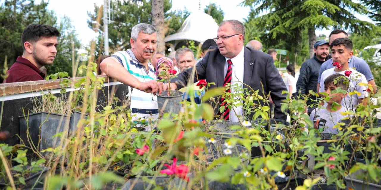 Kabir Ziyareti İçin Mezarlığa Gelen Vatandaşlara Ücretsiz Gül Fidanı Ve Çiçek