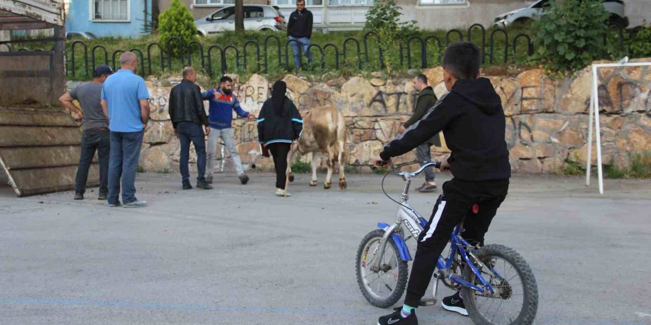 Kurban Kesim Alanları Oyun Parkına Döndü