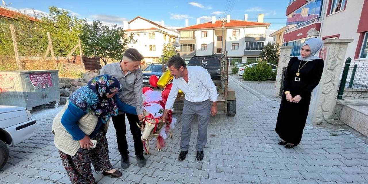 Beypazarı’nda Gelin Adaylarına ‘koç Gönderme’ Geleneği Sürüyor