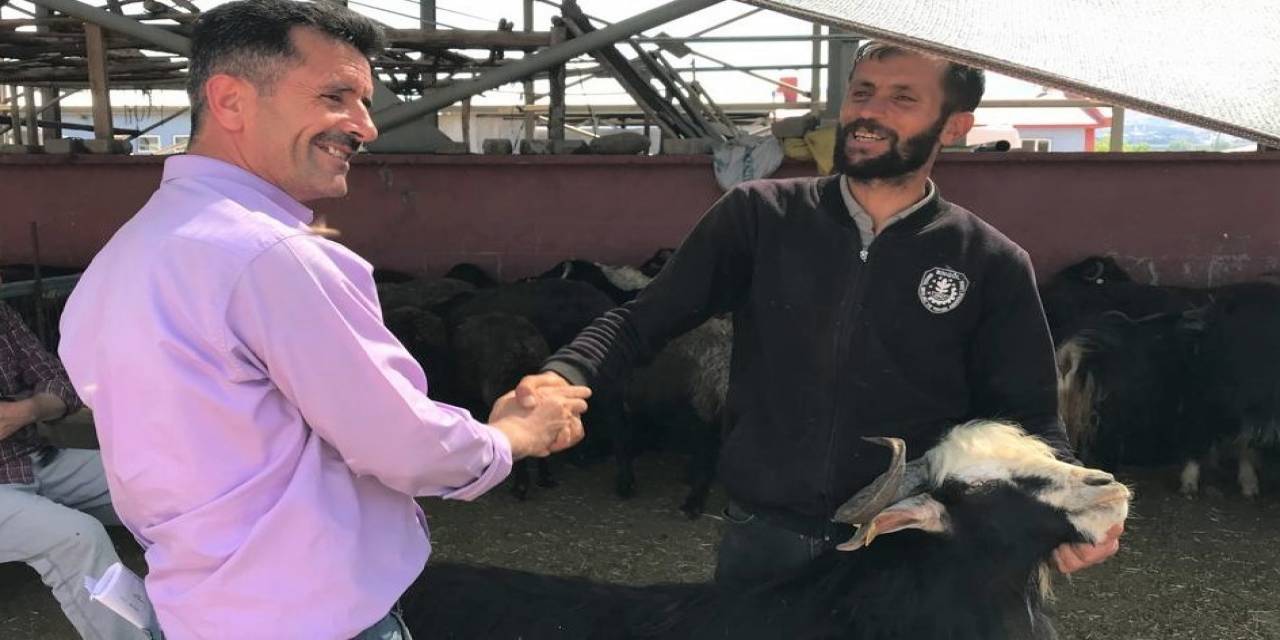 Bingöl’de Kurbanlıklar İçin Kol Koparan Pazarlıklar Sürüyor