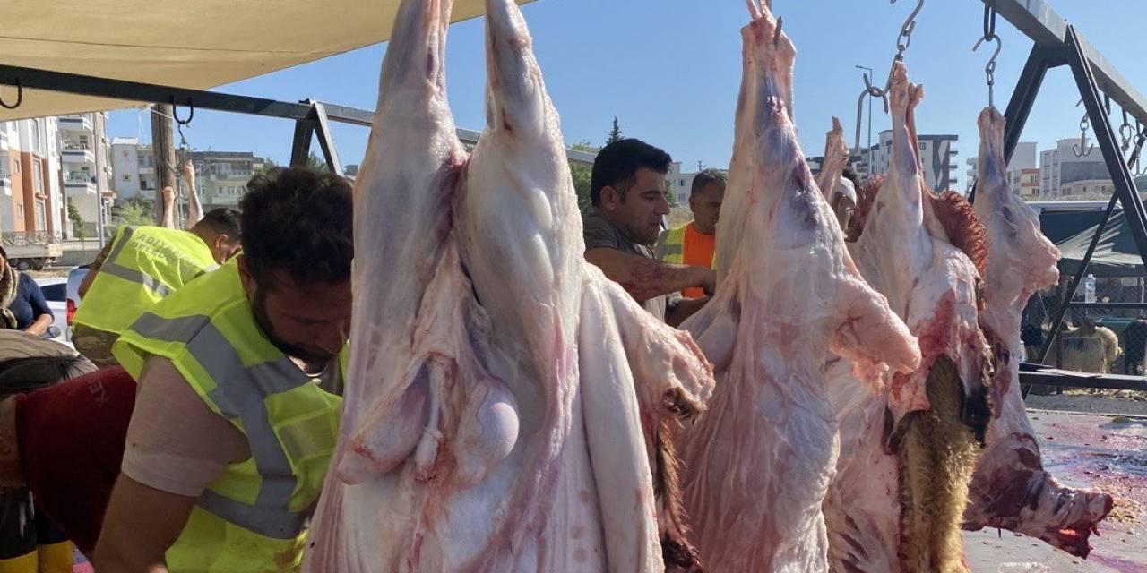 Adıyamanlı Depremzedeler Kurbanlarını Kesiyor