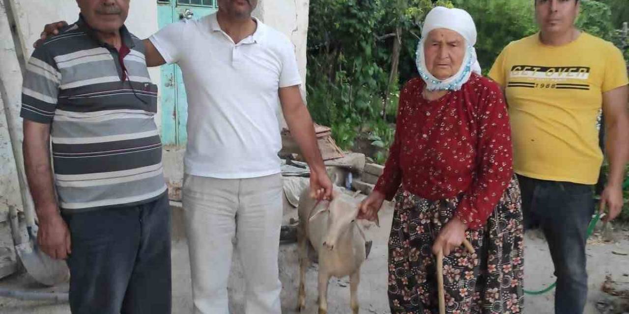 Aydın Ülkü Ocakları Şehit Ailelerini Unutmadı