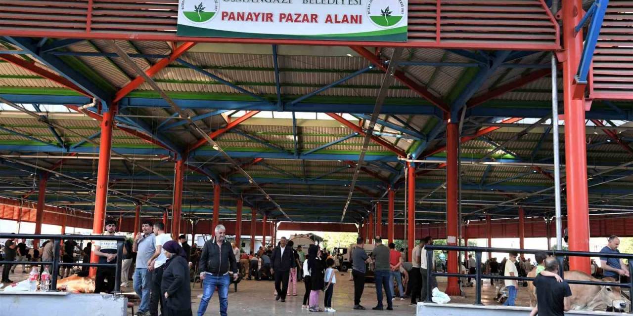 Osmangazi’de Hijyenik Kurban Kesimi