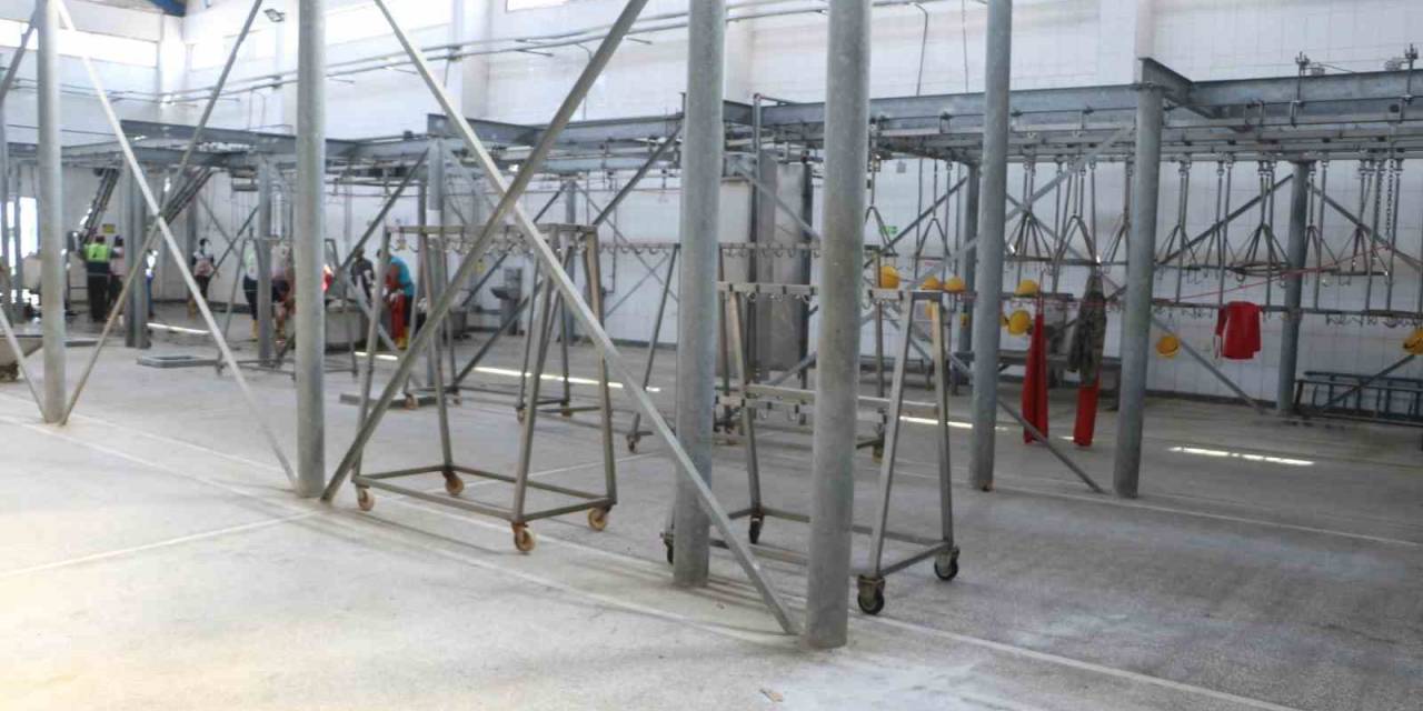 Enkaz Kent Hatay’da Mezbahaneler Boş Kaldı
