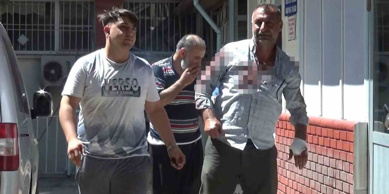 Acemi Kasaplar Yine Hastanelik Oldu