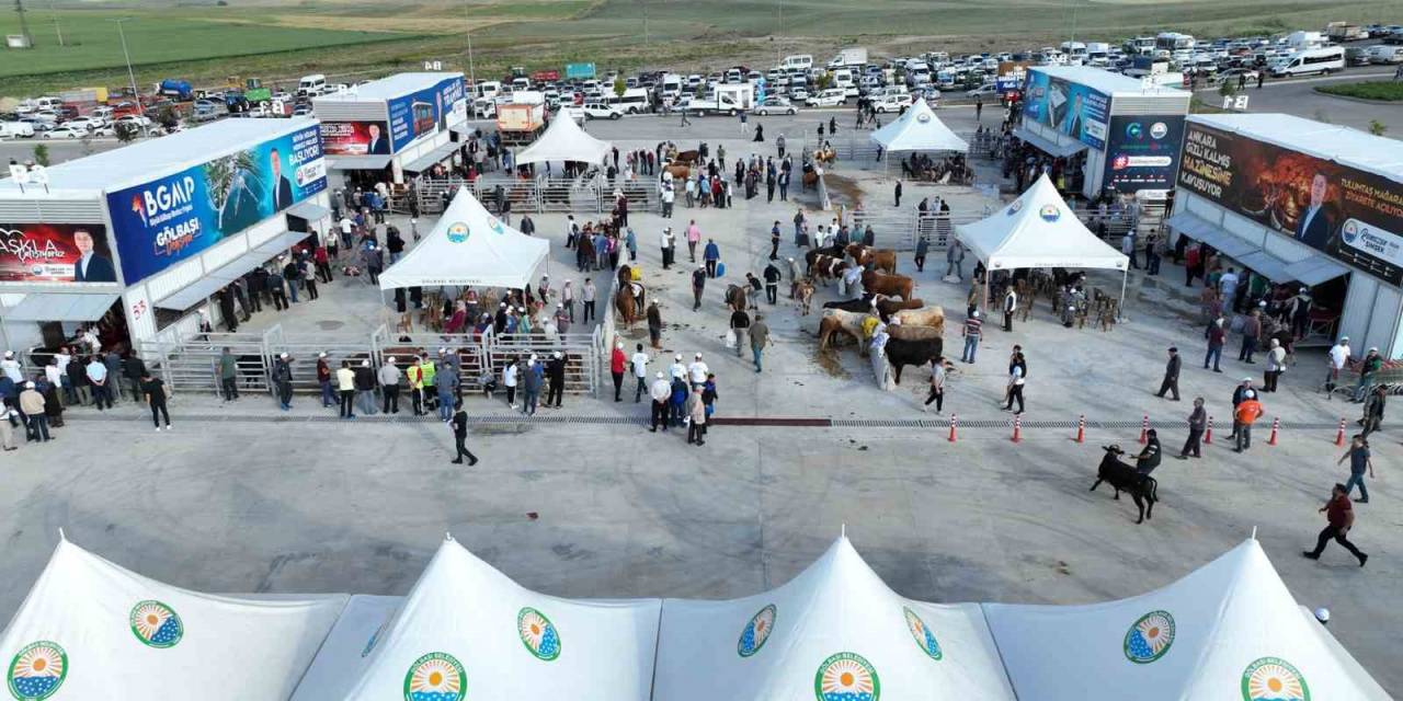 Gölbaşı Modern Kurban Satış Ve Kesim Merkezi’nde Bayram Heyecanı